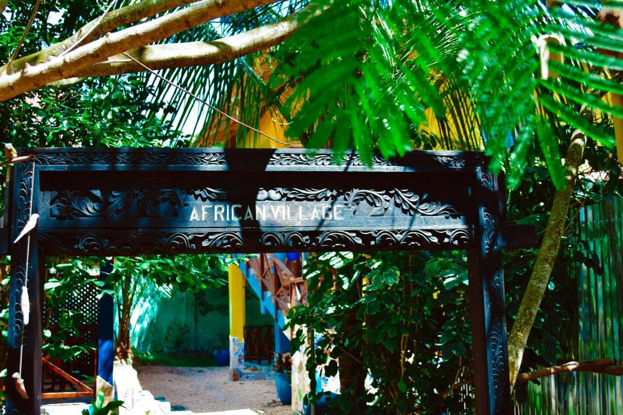 Coccobello Zanzibar نونغوي المظهر الخارجي الصورة