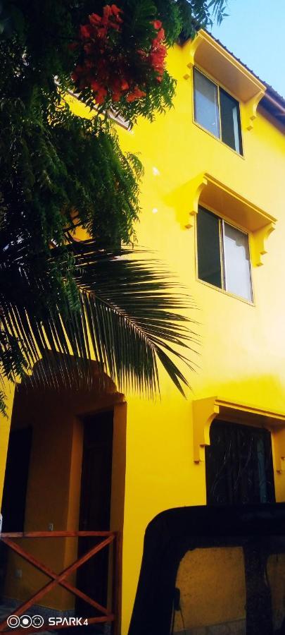 Coccobello Zanzibar نونغوي المظهر الخارجي الصورة