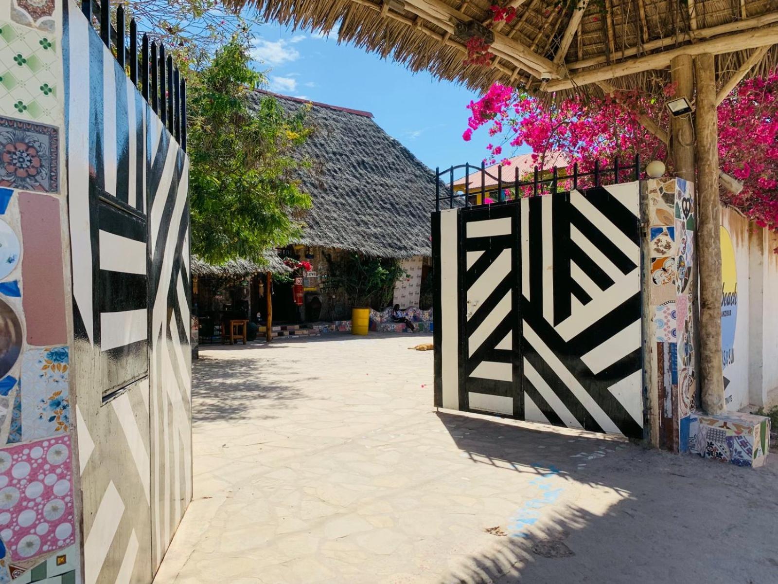 Coccobello Zanzibar نونغوي المظهر الخارجي الصورة
